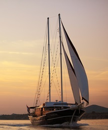 gacina_galerija